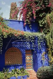 Image du Maroc Professionnelle de  Le Jardin Majorelle une pure merveille crée par le peintre français Jacques Majorelle, qui a eu le coup de foudre pour Marrakech. Yves Saint Laurent et Pierre Bergé font l’acquisition de ce havre de paix durant les années quatre-vingt où Yves Saint Laurent dessina plusieurs pièces. son voeux était de faire de ce parc une œuvre d’art vivante. On y découvre des plantes provenant des cinq continents, yuccas d’Océanie, lotus d’Asie, cactus d’Amérique, palmiers d’Afrique et cyprès d’Europe …, à Marrakech le Lundi 18 Août 1997. ((Photo / Abdeljalil Bounhar)